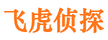 芦山婚外情调查取证